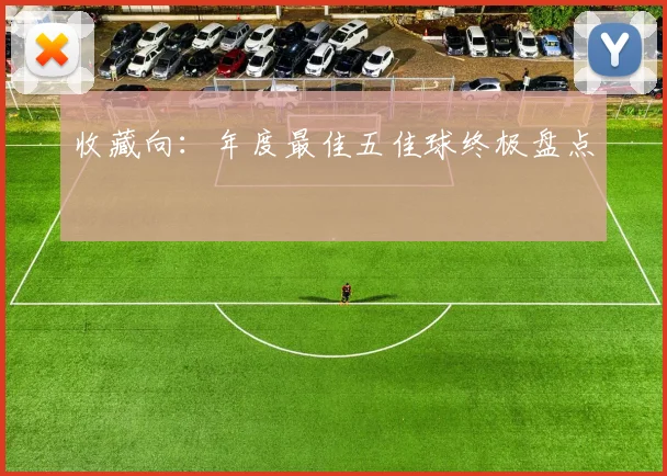 收藏向：年度最佳五佳球终极盘点