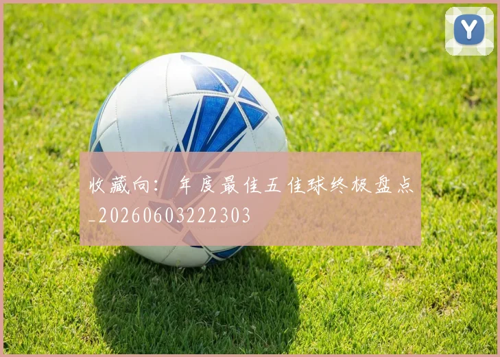 收藏向：年度最佳五佳球终极盘点_20260603222303
