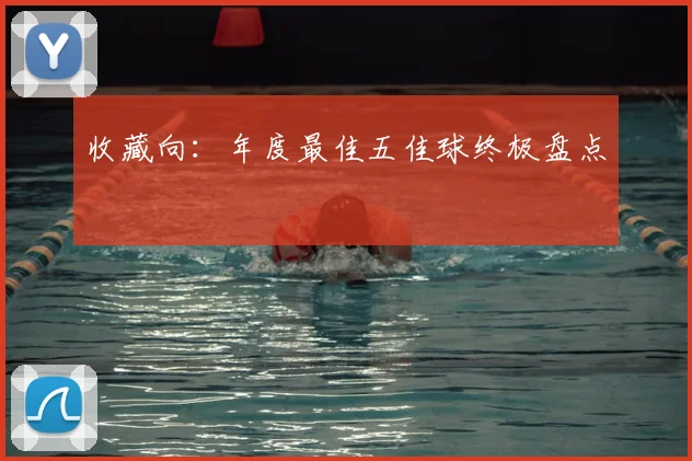 收藏向：年度最佳五佳球终极盘点